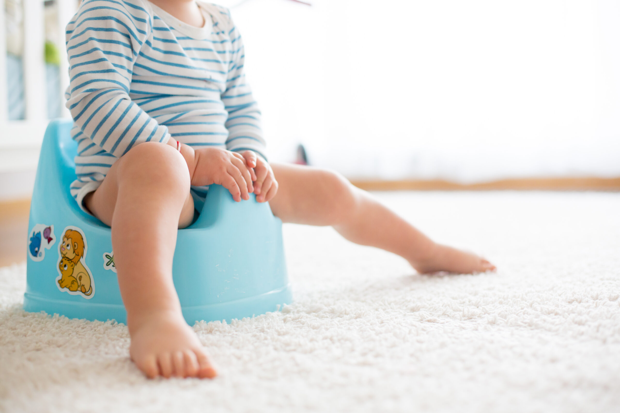 Training Underwear for Potty Training: A Parent’s Buying Guide